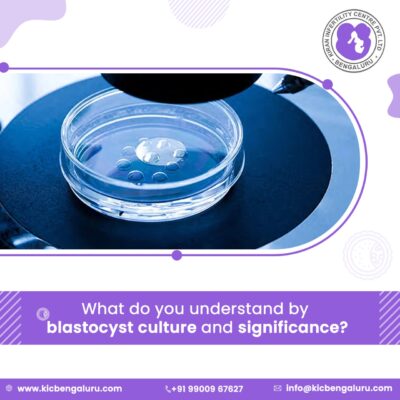 What do you understand by blastocyst culture and significance?