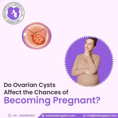 Do Ovarian Cysts Affect the Chances of Becoming Pregnant
