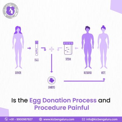 Is the Egg Donation Process and Procedure Painful?